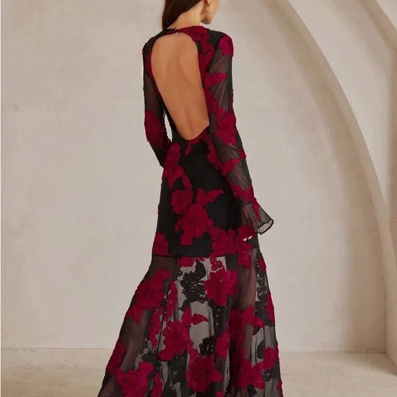 Anewsta Elegant Black and Red Floral Dress - Picture 2 of 14